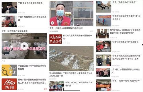 宁晋爆料新闻最新事件,揭秘事件背后惊人真相